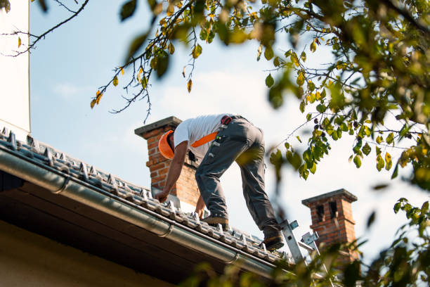 Best Metal Roofing Contractor  in Woodlawn, OH
