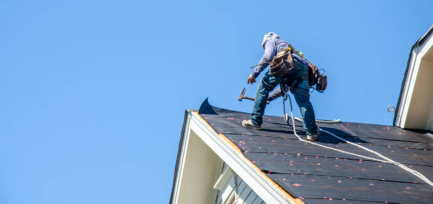 Best Roof Gutter Cleaning  in Woodlawn, OH